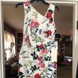 Adrianna Papell Gown